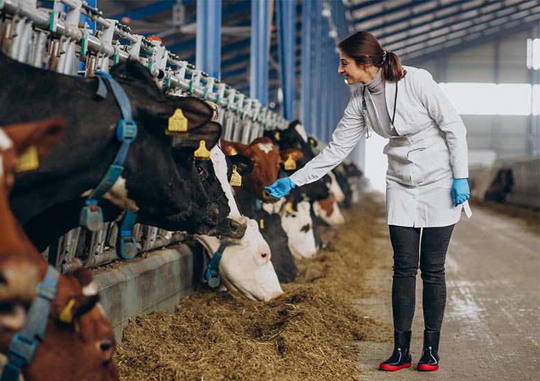 Hayvansağlığı780×550