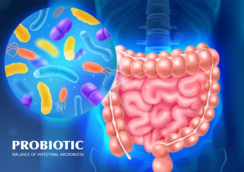 İnsansağlığıstokboyutlandırılmış