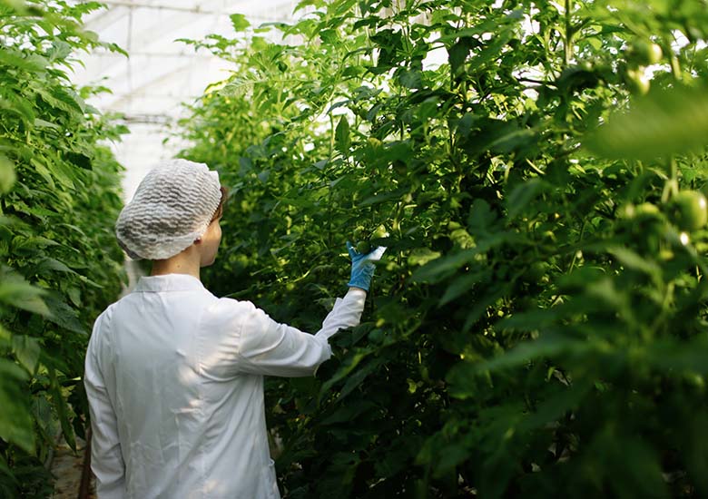 Tarımmikrobiyalgübre780x550